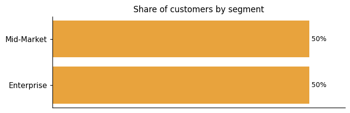 Customer distribution by segment (share of classified customers)