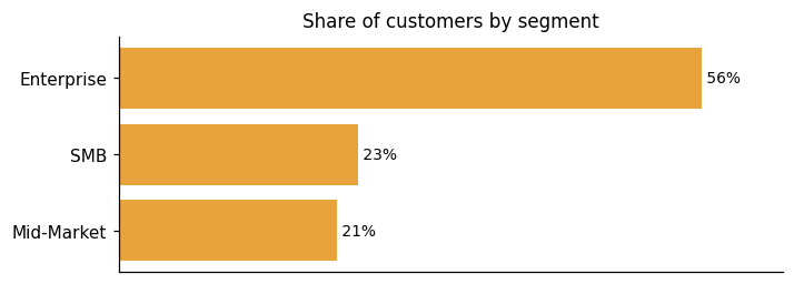 Customer distribution by segment (share of classified customers)