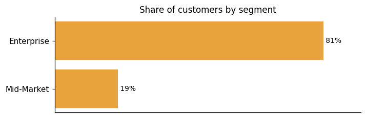 Customer distribution by segment (share of classified customers)