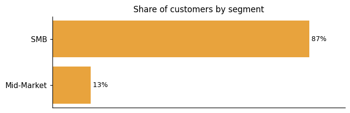 Customer distribution by segment (share of classified customers)