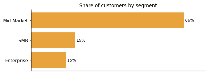 Customer distribution by segment (share of classified customers)
