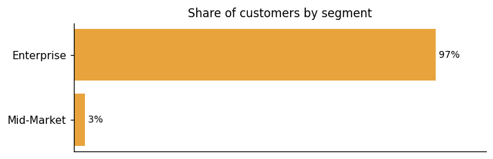 Customer distribution by segment (share of classified customers)