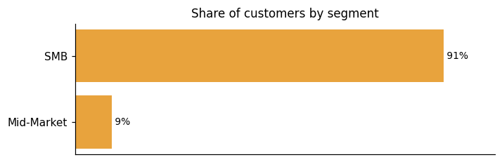 Customer distribution by segment (share of classified customers)