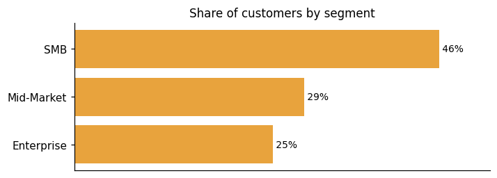 Customer distribution by segment (share of classified customers)