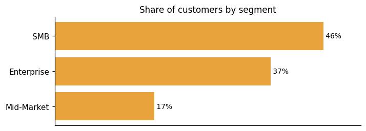 Customer distribution by segment (share of classified customers)