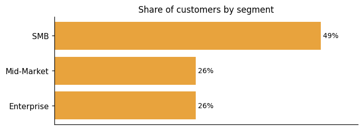 Customer distribution by segment (share of classified customers)